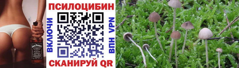 Галлюциногенные грибы ЛСД  Моршанск 